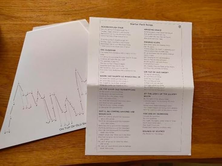 ラップハープ ケース 歌詞カード 交換弦 使用手引き書付き