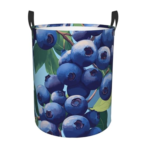 Blueberry Panier à linge rond avec poignées, durable et pliable, panier à linge, chambre à coucher, jouets et organisation de la maison