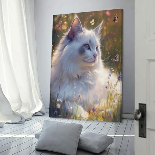Décoration murale image sur toile Ragdoll affiche salon 30x45cm