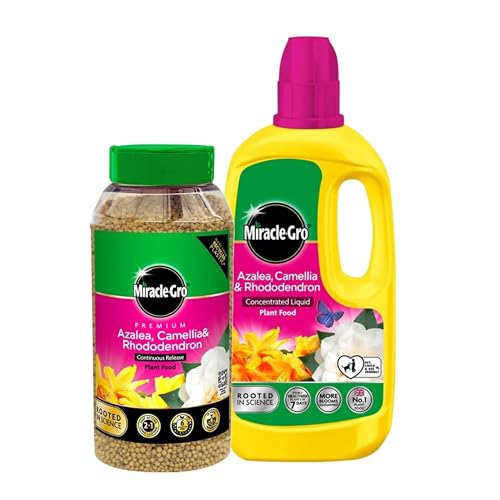 Miracle Grow Ericaceous Feed Bundle - 900g Granules & 800ml Liquid