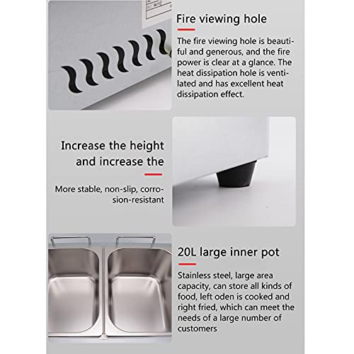 Friggitrice a gas, grande capacità in acciaio inox GPL, controllo del calore regolabile, include cestini e coperchi, perfetta per friggere in casa e in ufficio