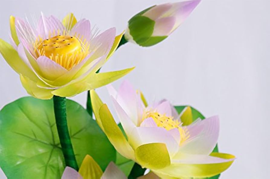 Amazon｜やまこう グランドルミナス ハス 四花 蓮華の夢路 LED お盆