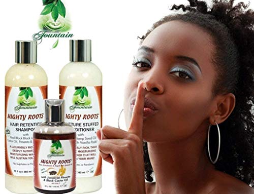 Fountain Mighty Roots Organic Hair Retention Shampoo And Conditioner With Jamaican Black Castor Pimento Oil Hair Loss Reversal System #TOP1
