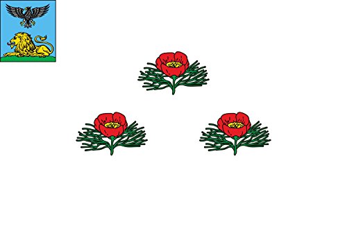 Drapeau Veydelevsky rayon 2015-03 grand format 1 pièce pour mât - 2