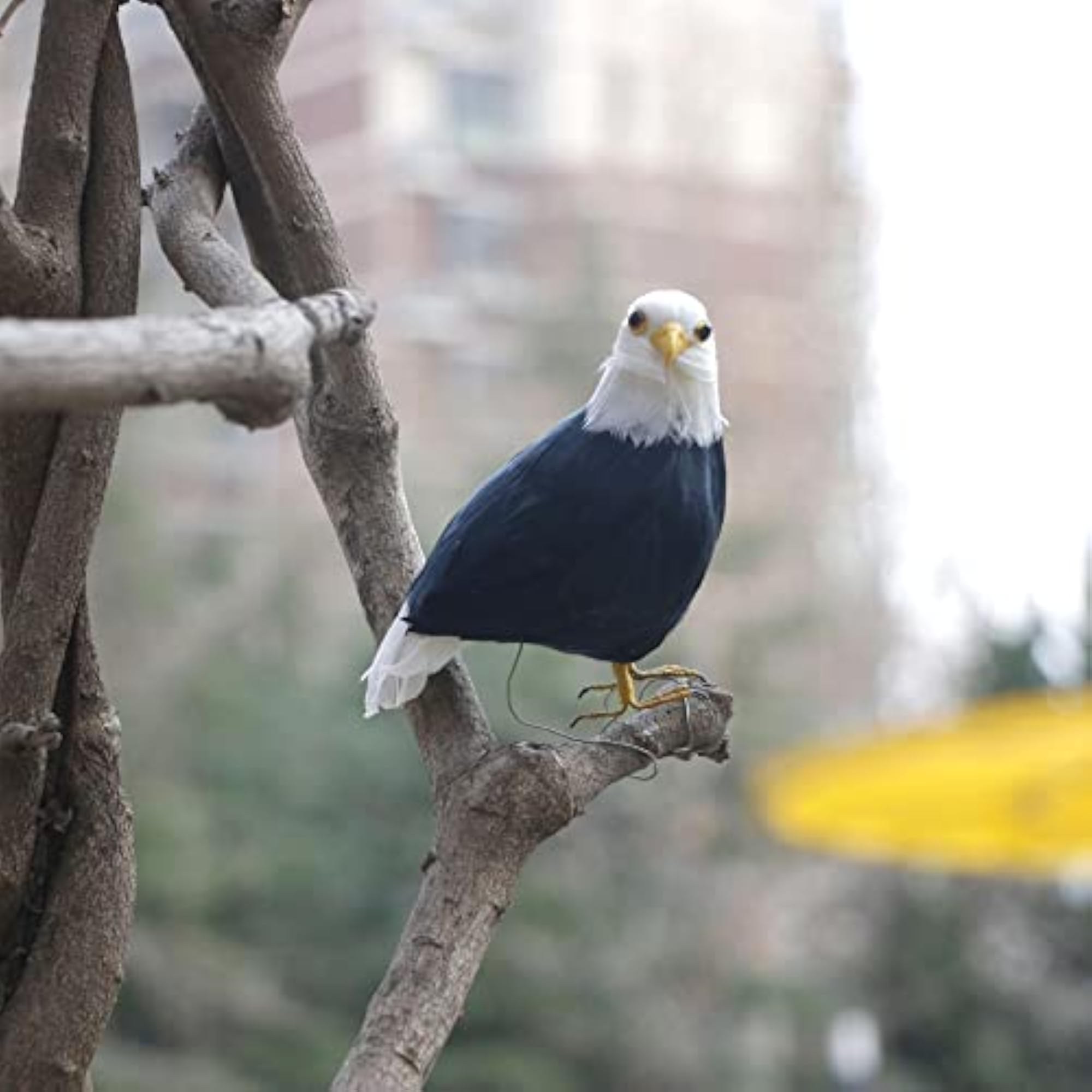 Animated Feathered Bird Eagle Garden Statue