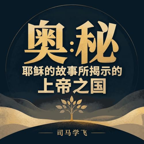 『奥秘：耶稣的故事所揭示的上帝之国』のカバーアート