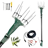Crisalide® Abbacchiatore Elettrico per Olive TWIST-12 – Scuotitore 12V 140W Brushless con Asta Telescopica 2,3-3,0 m, Pettini in Fibra di Carbonio e Cavo da 15 m – Raccogliolive Professionale