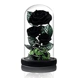 Vryblos 3 Preserved Flowers Roses in Glass Dome with Light for Beauty and The Beast Decor Real Rosas Eternas for Women Mom Birthday,Forever Black Roses for Delivery, Christmas for Wife Girlfriend Her