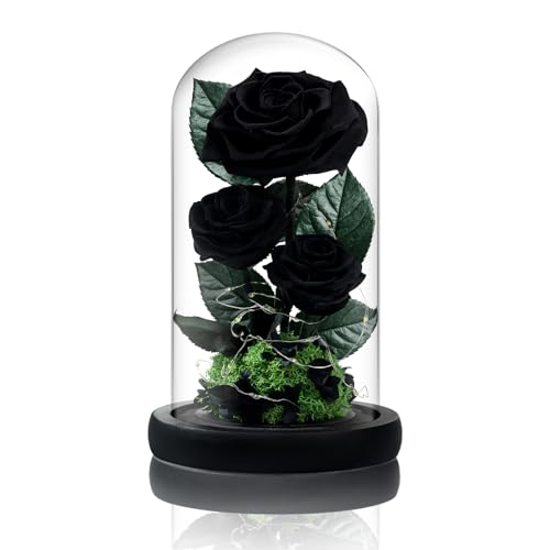 Vryblos 3 Preserved Flowers Roses in Glass Dome with Light for Beauty and The Beast Decor Real Rosas Eternas for Women Mom Birthday,Forever Black Roses for Delivery, Christmas for Wife Girlfriend Her