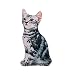 your castle Chat fidèle à la Nature en Guise de décoration 3D, Coussin décoratif en Forme de Chat. 56 x 35 cm