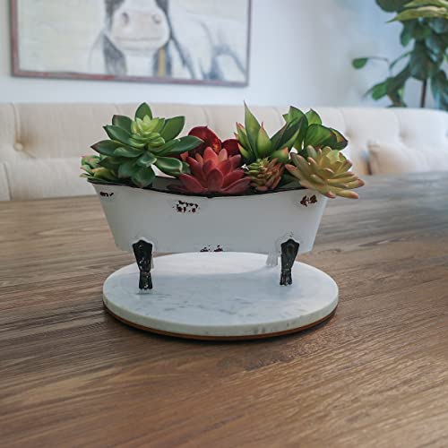 Treasure-Gurus-Rustic-White-Enamel-Clawfoot-Bath-Tub-Garden-Planter-Bathroom-Soap-Sponge-Holder Treasure Gurus Rustic White Enamel Clawfoot Bath Tub Garden Planter Bathroom Soap Sponge Holder