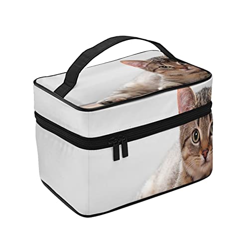 σ|[` CN|[` 킢 qL RX[ ֌g σobO ϔ vp σP[X ^ CN{bNX e ϕi[obO ʗp s op y  ϓ Jo[t̃t@Xi[