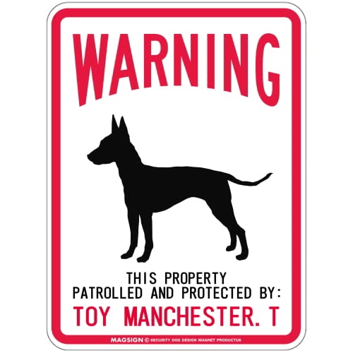 [MAGSIGN] �� �g�C�}���`�F�X�^�[�e���A ���� �x�� �ی� �x�� �}�O�l�b�g SS�T�C�Y �p�� WARNING TOY MANCHESTER. T ���O�p(�h��/�ϐ�+�ό��d�l) ���{��