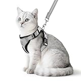 PUPTECK Katzengeschirr und Leine Set Flucht Beweis Reflektierende Katze Walking Geschirr Einstellbare weiche atmungsaktive Mesh-Weste für kleine Haustiere, Grau, S
