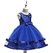NSSMWTTC Toddler Embroidery Flower Ball Gown Dresses Graduation Frocks Girl Wedding Prom Tutu Christmas Dress (5017 Sapphire,140)