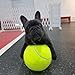 Riesiger Tennisball für Hundespielzeug | 24cm Hunde Tennisbälle Spielzeug | Aufblasbares Interaktives Hundespielzeug Tennisball | Riesige Hundespielzeugbälle Heimtierbedarf für Große mittelgroße Hunde