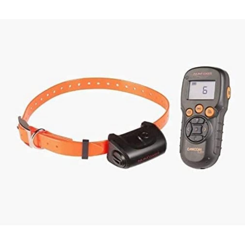 Ensemble de Dressage pour Chien NUM'AXES - CANICOM 5.201