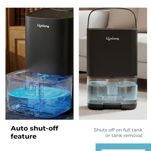 Product Variant View