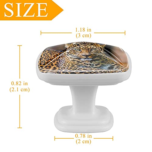 Boutons de commode léopard pour relooker les meubles de chambre