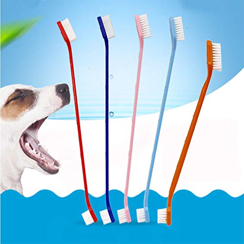Spazzolino da denti per cani a doppia testa con