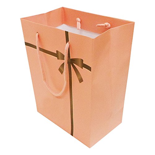 エヒメ紙工 ペーパーバッグ NRIB-MS-10P MS 10枚入 リボン