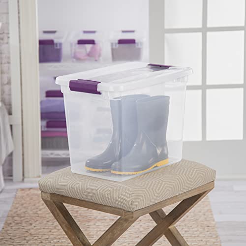 Sterilite ClearView Latch Box 6-Pack with Sweet Plum Latches #TOP7