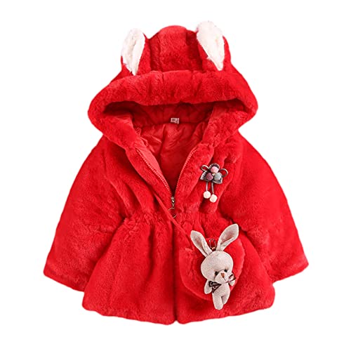 1 to 5 Years Boys Warm Blouse Winter Bag Long Sleeve Hoodie Zip Jacket Children Kids Coats Cartoon Warm (Red, 3-4 Years)