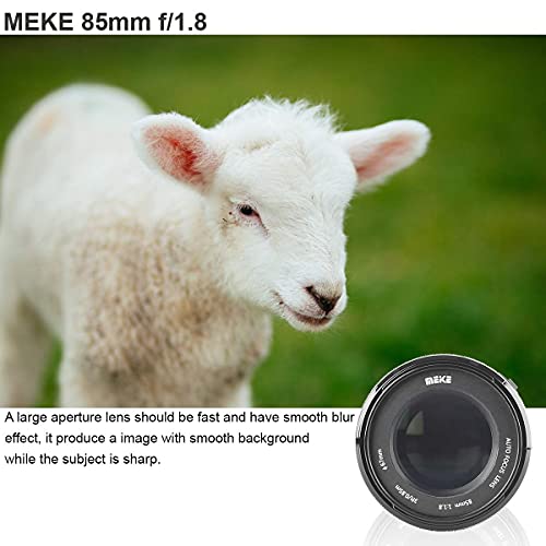 Meike 85Mm F1.8 Auto Focus Full Frame Large Aperture Lens Compatible With Nikon F Mount Dslr Cameras D850 D750 D780 D610 D3200 D3300 D3400 D3500 D5500 D5600 D5300 D5100 D7200 And Other F Mount Cameras #TOP3