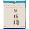 Mammals (Blu-ray)