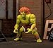 Jada Toys Street Fighter Blanka Figure (19 cm) - Movable Collectible and Action Figure from Street Fighter 2: The Final Challengers, with Alternative Head, Hands and Accessories, from 13 Years