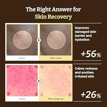 Dr.Reju-All Heal & Shield Duo: Advanced PDRN Rejuvenating Cream + Advanced LC-Ceramide Barrier Cream - Face Moisturizer Bundle for Hydrating & Glass Skin, Korean Pharmacy Anti-Aging Skin Care