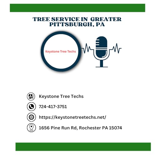 When is it safe to remove a storm-damaged tree in Greater Pittsburgh, PA Podcast Por  arte de portada