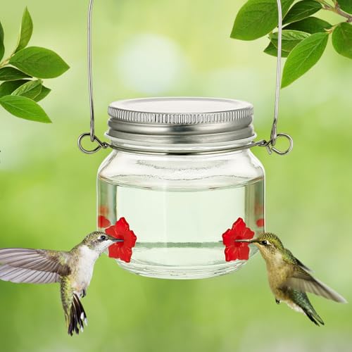 8 Oz Hummingbird Feeder for Outdoors - Durable Mason Jar Glass Humming Bird Feeder with 8 Perforated Flower Nozzles, Wide Top Opening for Easy Filling & Cleaning
