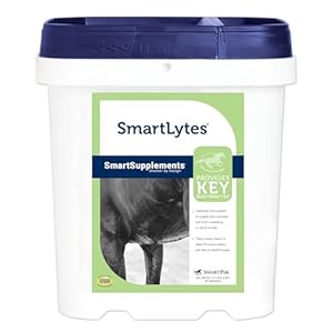 SmartLytes Horse Electrolyte Powder Supplement | Encourages Hydration, Replenishes Electrolytes | No Added Sugar | Cherry Flavor | 56 Servings | 3.7 lb Bucket