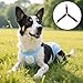 Qwrqwr Hundewindel Hosenträger mit Bauchbändern Verstellbare Länge Haustier Windeln Befestigungen Komfortables Windelgegurt verhindern, dass Windeln oder Unterwäsche nach unten rutschen
