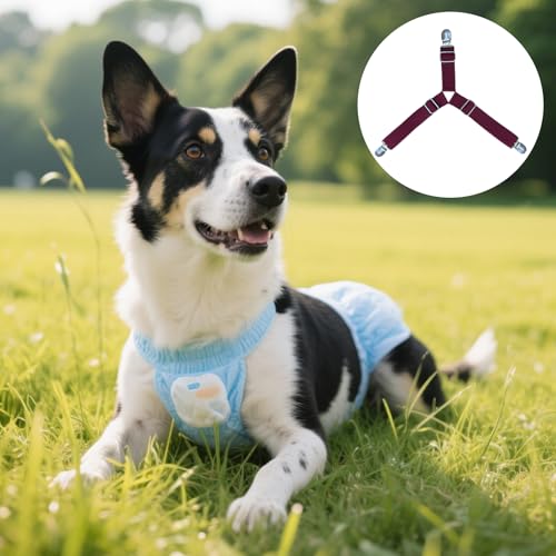 Qwrqwr Hundewindel Hosenträger mit Bauchbändern Verstellbare Länge Haustier Windeln Befestigungen Komfortables Windelgegurt verhindern, dass Windeln oder Unterwäsche nach unten rutschen