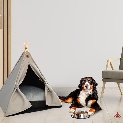 Mejores comprativas On-line Casas para perros en madera que Puedes comprar On-line. 21 Imagen adicional
