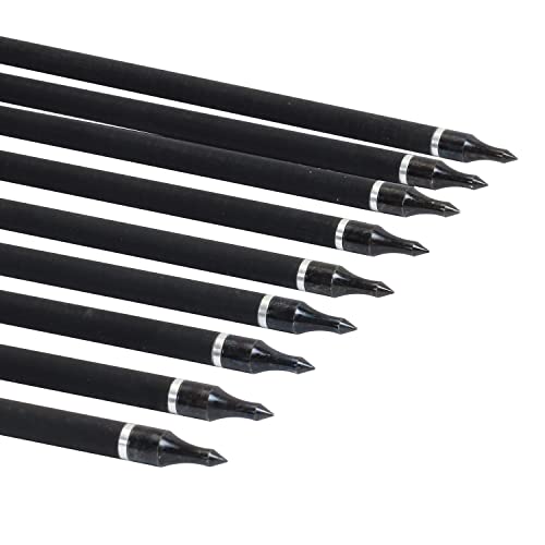 Fenjaner Archery 100 Grain Field Tips, Practice Screw-In Arrow Tips, Hunting Arrow Field Points For Compound Bow Recurve Bow Crossbow 12Pcs #TOP4