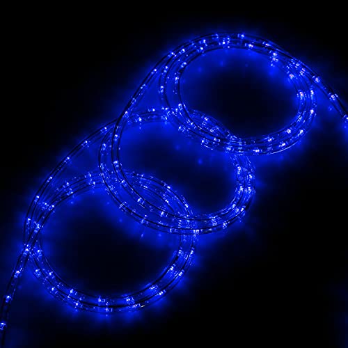 Tuanchuanrp 100Ft Blue Rope Lights Outdoor, 110V Cuttable Outdoor String Lights Waterproof For Indoor/Outdoor, Ideal For Eaves,Backyards Garden,Halloween, Christmas Decoration, Landscape Lighting #TOP5