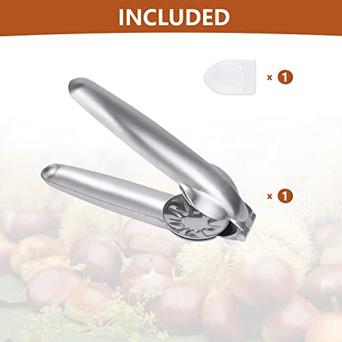 Chestnut Clip Nut Cracker Peeler Cutter Tool 304 Stainless Steel Nutcracker Sheller Walnut Pliers Breaker #TOP1