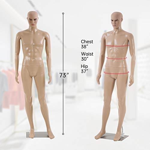 Fdw Full Body Dress Form Sewing Male Adjustable Model 73 Inch Realistic Display Head Clothing Metal Base Stand, Nude #TOP6