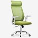 Ergonomic Office Chairs Executive High-Back Adjustable Seat Height with Armrests Headrest and Lumbar Support (Color : Black) (Green)