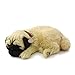 Plenty Gifts 96194 Perfect Petzzz Soft Pug, Universalgröße, One Size