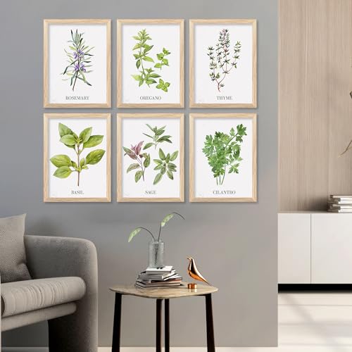 Image of kotart Kitchen Herbs Digital Painting for Restaurant Dinning Room Wall Decoration - Minimal Cooking Herbs Wall Art Prints for Kitchen Decor (13X17 INCH, D) Pack of 6