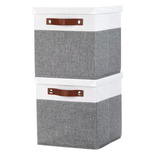 Temary Foldable Fabric Storage Bins with Lids, 2-Pack Storage Bin for Organizing Living Room, Closet Organization, Multi-Purpose Storage Boxes for Clothes (White&Grey, 10.5x10.5x10.5in)