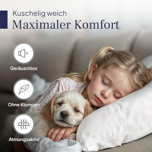 Gentle North Kopfkissen (40x40 cm groß) - 2er Set Kissen für Bett und als Dekokissen - Mit Reißverschluss für Füllung - Sofakissen - Zierkissen für Couch und Sofa - Ökotex - Waschbar bis 60° - Weiß
