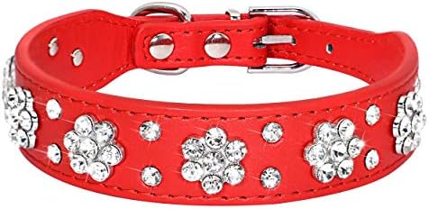 Didog - Cute PU Leather Dog Collar - Rhinestone Flower Pattern Studded - 1 Inch Width Fit Small and Medium Dogs,Red 11-13"