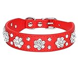 Didog - Cute PU Leather Dog Collar - Rhinestone Flower Pattern Studded - 1 Inch Width Fit Small and