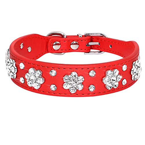 Didog - Cute Pu Leather Dog Collar - Rhinestone Flower Pattern Studded - 1 Inch Width Fit Small And Medium Dogs,Red 11-13" #TOP3