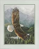 DSC ART Soaring Eagle - Art Print Size 16x20 Inches – Majestic Bald Eagle in Flight Over Mountain Lake – Unframed Wall Decor – Nature & Wildlife Art – Print #16-2443